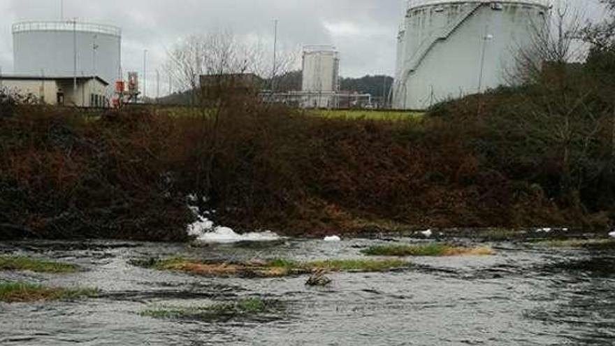 El supuesto vertido en el río Umia. // FdV