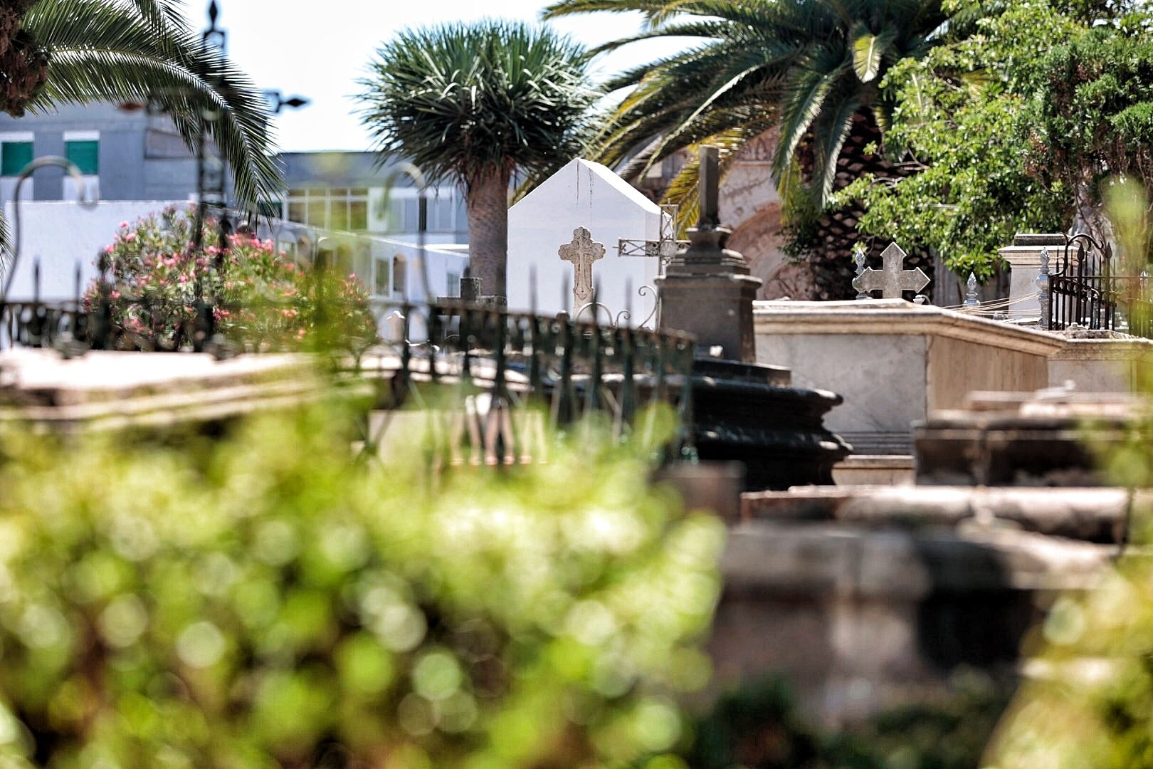 Ruta / Ritos funerarios tras la fundación de San Cristóbal de La Laguna