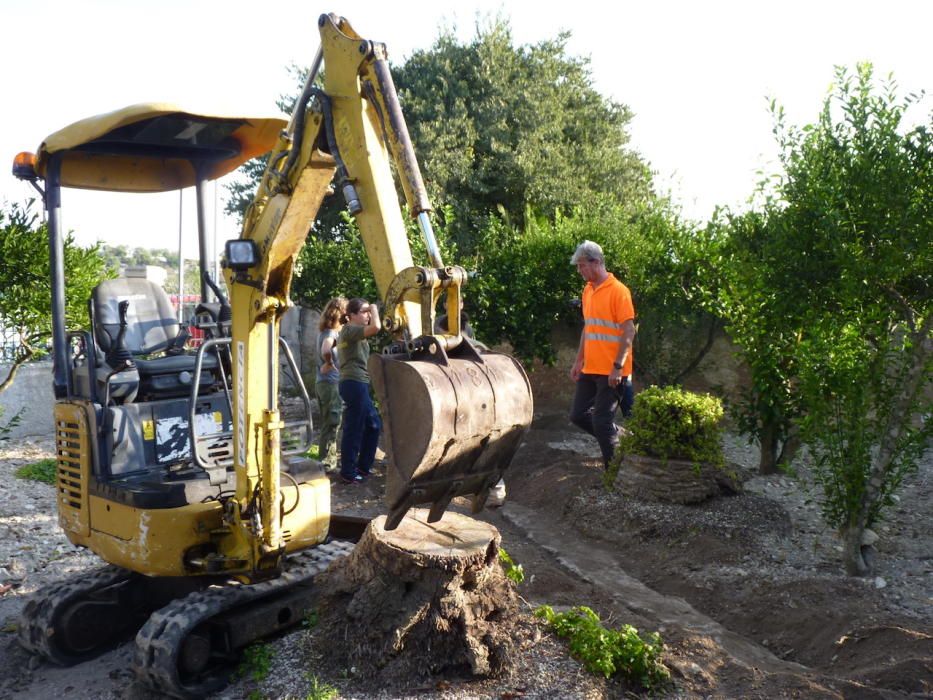 Empiezan los trabajos de exhumación de la fosa de Montuïri