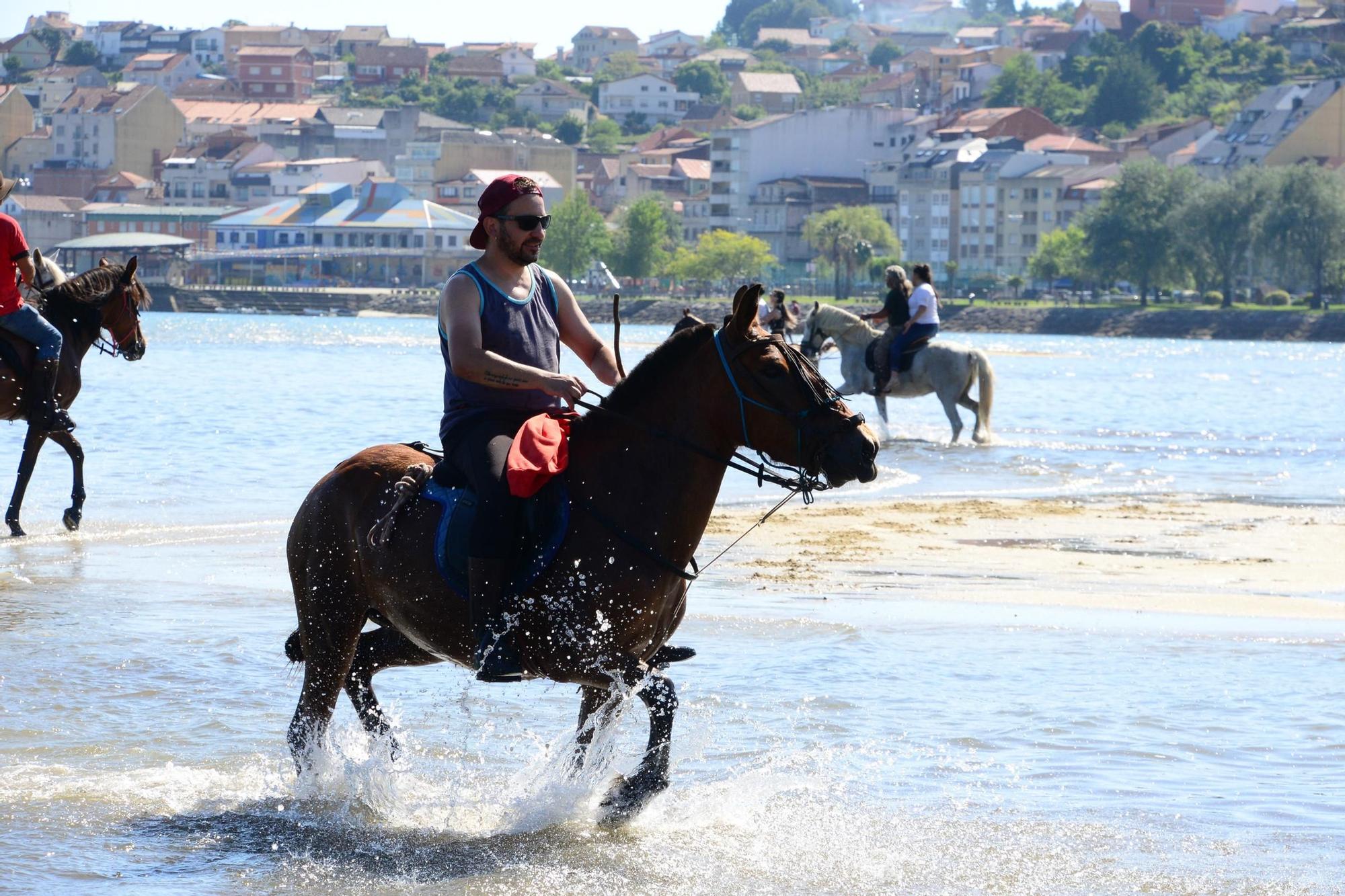 Una espectacular jornada a caballo por Moaña (I)