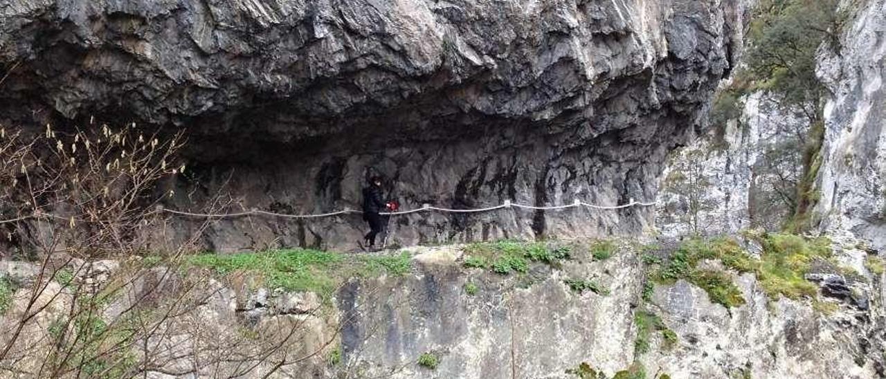 Una senderista, por un tramo de Las Xanas.