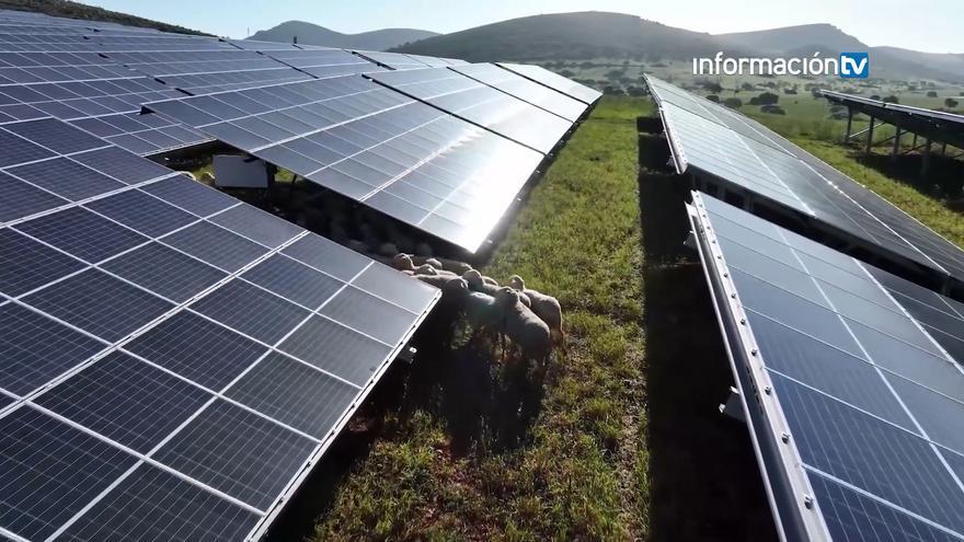 Iberdrola arranca sus dos primeras plantas fotovoltaicas en la Comunitat Valenciana con una inversión de 252 millones