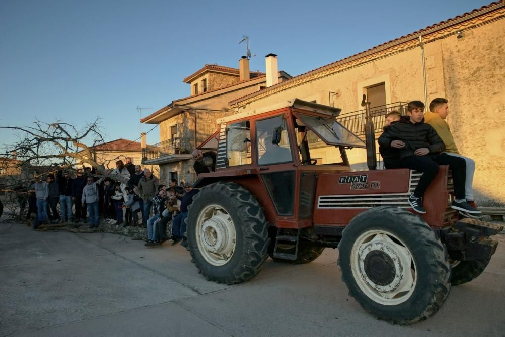 Brandilanes celebra San Amaro