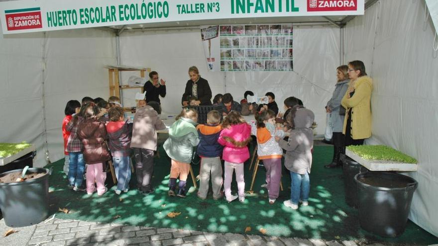 La Diputación e Iberdrola impulsan un proyecto educativo para abordar &quot;la acción climática&quot;