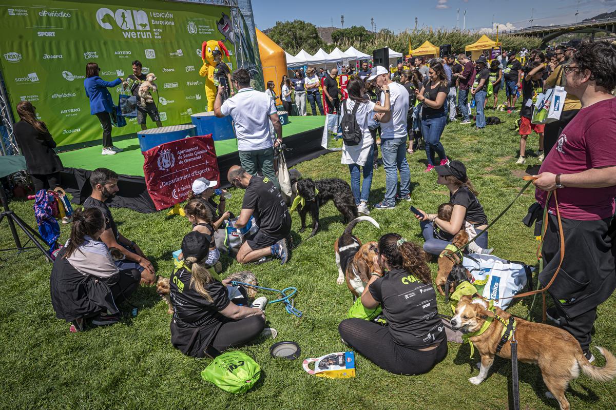 CAN WE RUN BARCELONA. La carrera organizada por Prensa Ibérica y El Periódico de Catalunya con la colaboración de Sport ,  donde las personas y sus mascotas perrunas corren en familia