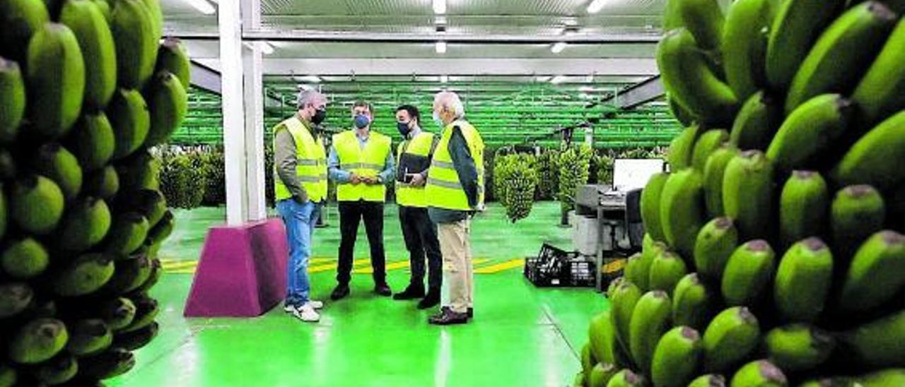 Un momento de la visita del senador autonómico Fernando Clavijo a la sede de la FAST.