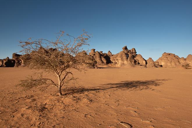 Formaciones rocosas en el desierto del Sahara