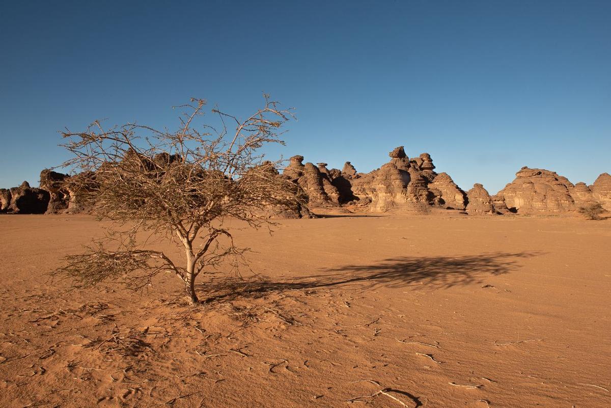 Formaciones rocosas en el desierto del Sahara
