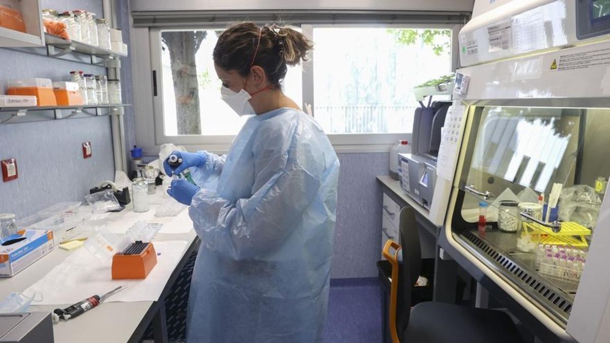 Sanitat prepara la estrategia de vacunación contra la viruela del mono