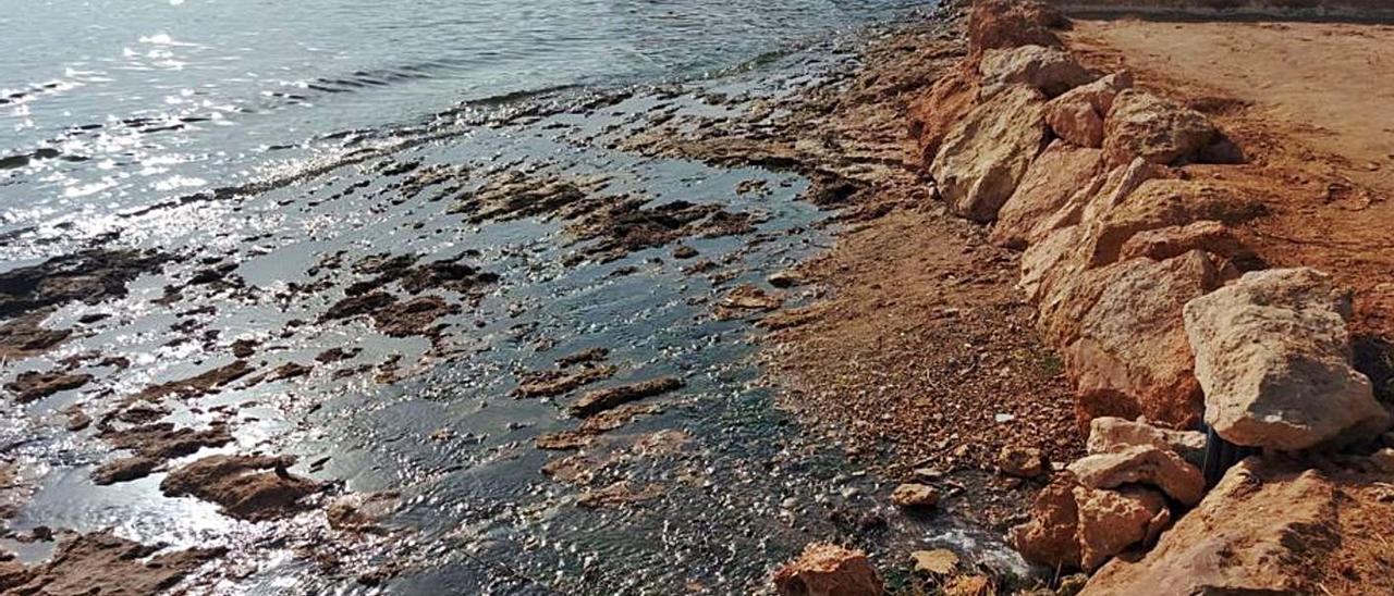 Imagen de uno de los vertidos en la zona del hotel Es Pins, en Cala de Bou.