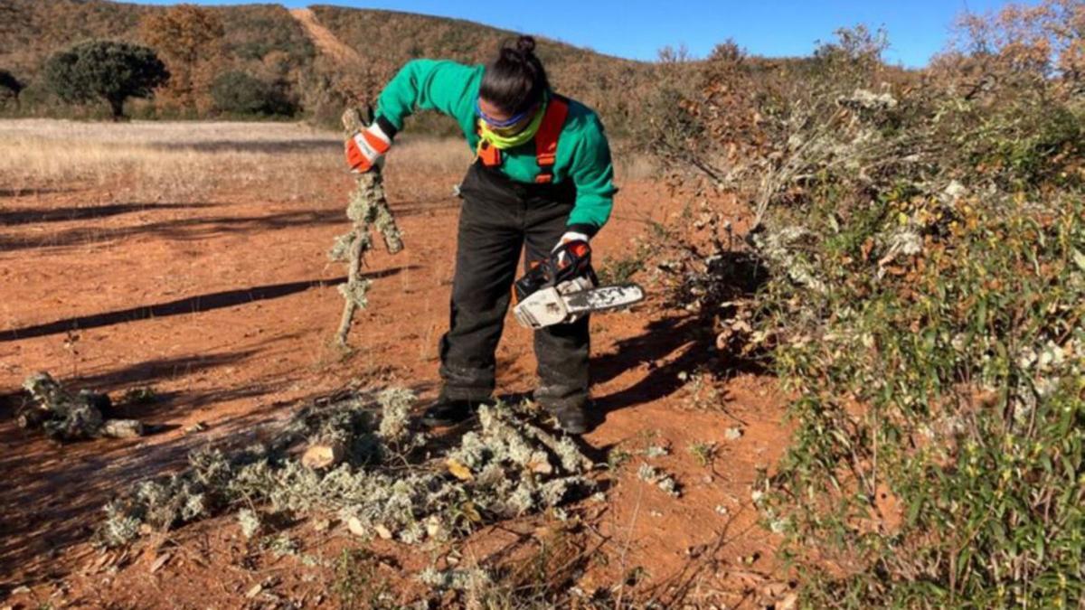 Una alumena realizando trabajo de campo en San Pedro. | E. P.