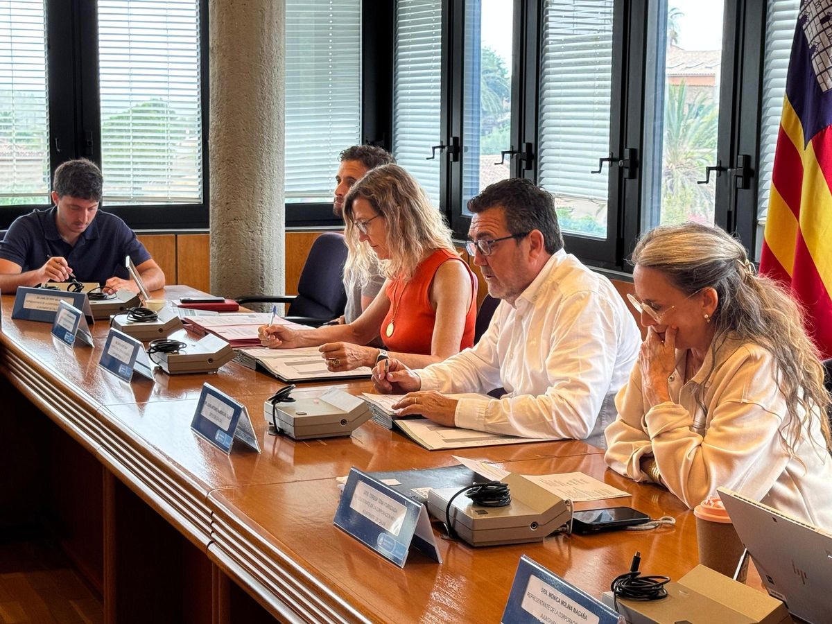 El alcalde Amengual ha presidido la reunión del consejo.