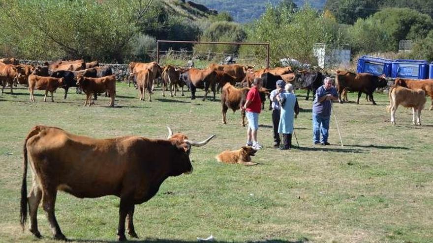 Aspecto que presentaba ayer el recinto ferial de Porto