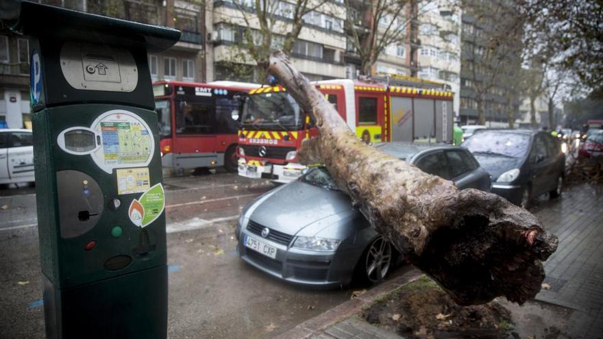 El viento derriba un árbol sobre un coche en Valencia