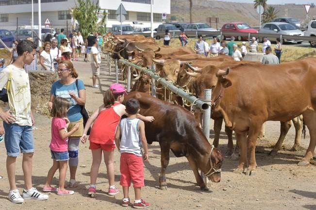 Muestra de ganado y feria de artesanía por las ...