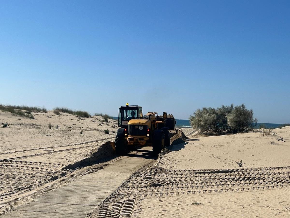 Trabajos en los accesos de playas de Punta Umbría, en la provincia de Huelva.