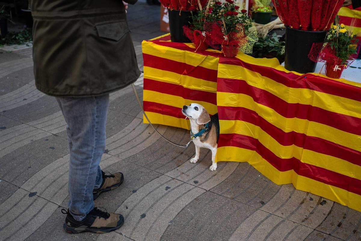 Ambiente de Sant Jordi en La Rambla de Barcelona