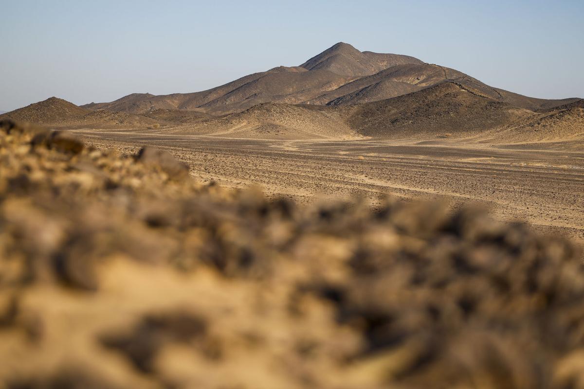 Etapa 9 del Rally Dakar 2026, en imágenes