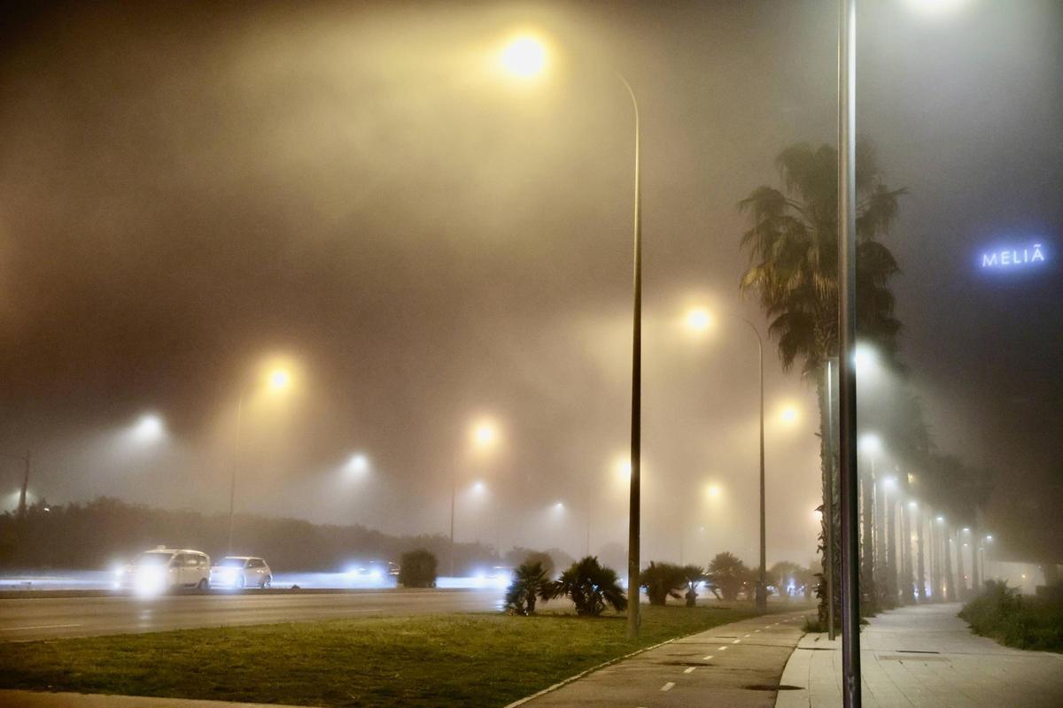 Las imágenes de la niebla en Mallorca