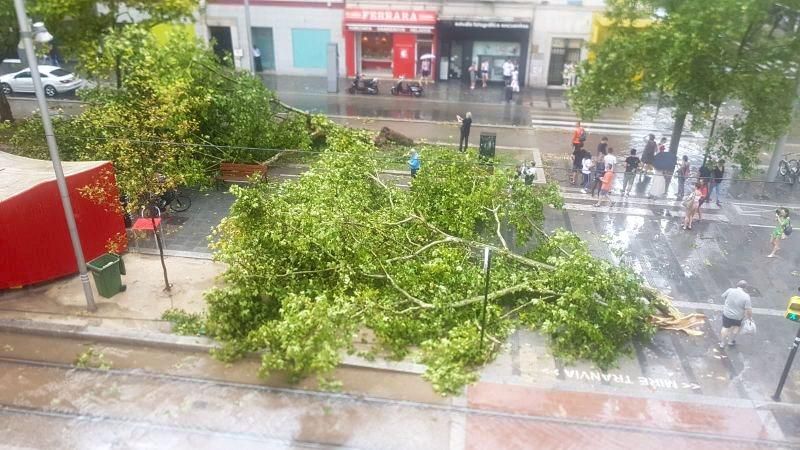 Consecuencias de la tormenta en Zaragoza