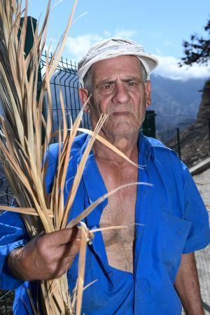 15-10-19 SUPLEMENTOS. ZONA CUMBRERA. ZONA CUMBRERA. Reportaje zonas quemadas tras dos meses. Reportaje triple entrega sobre el paisaje quemado, al cumplirse dos meses. La primera parte será Los tesosos de la Cumbre, en plan más positivo, con los brotes verdes, lugares que visitar. Un segundo con los héroes sin capa, sus protagonistas y una tercera con Lo que el fuego se llevó o Lo perdido, la parte más triste.  Fotos: Juan Castro.  | 15/10/2019 | Fotógrafo: Juan Carlos Castro