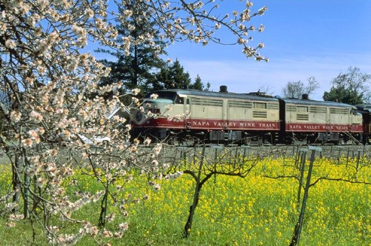 En un tren entre viñedos