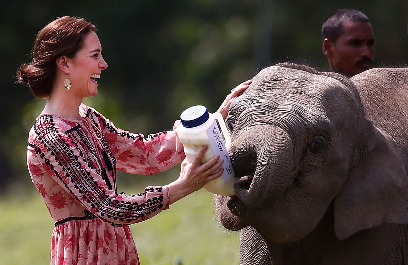 La divertida mañana de Kate Middleton junto a los elefantes