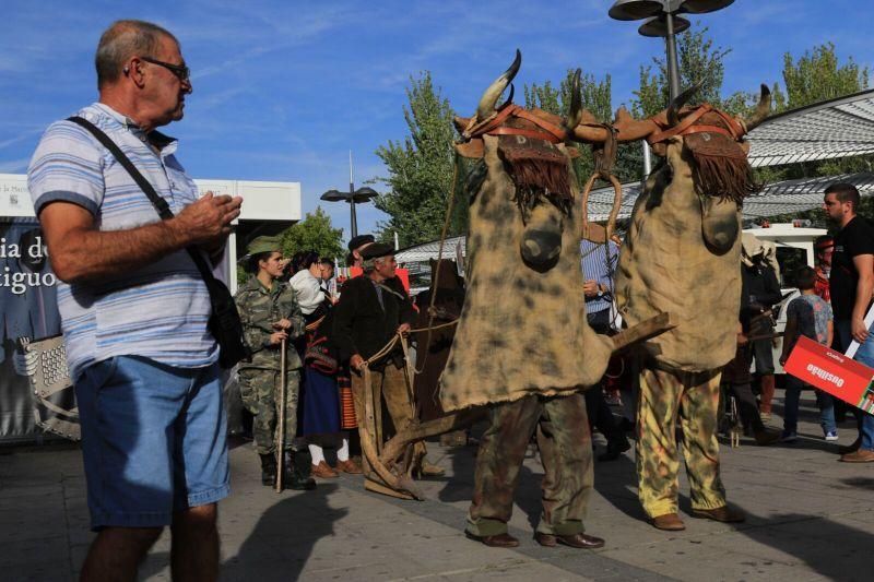 Desfile de mascaradas en Zamora