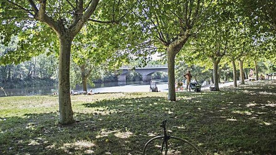 Una imagen del río Tera en Micereces tomada este verano. A. G.