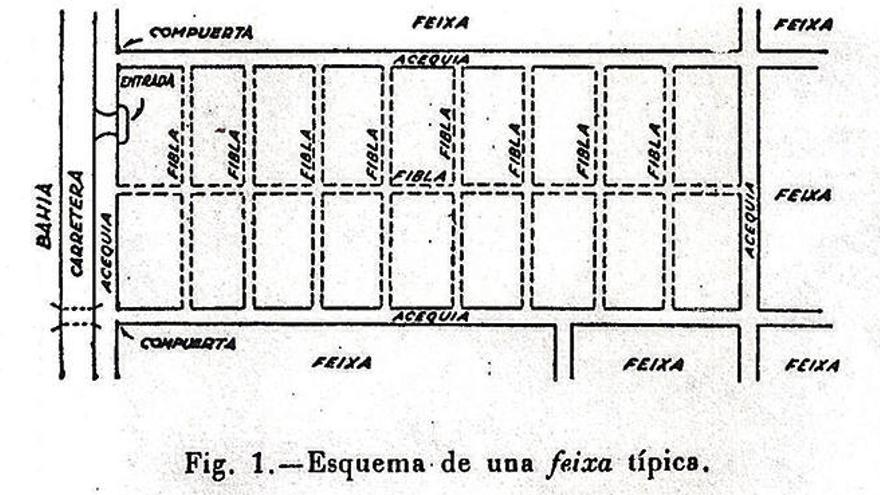 L&#039;agricultura a les feixes