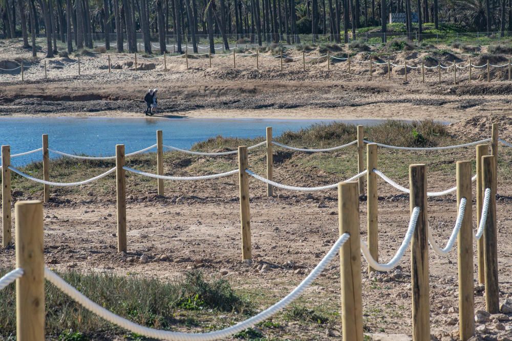 Costas ha realizado un proyecto de regeneración de los restos del cordón dunar de cala Ferrís, además de trabajos de poda y plantación de vegetación autóctona