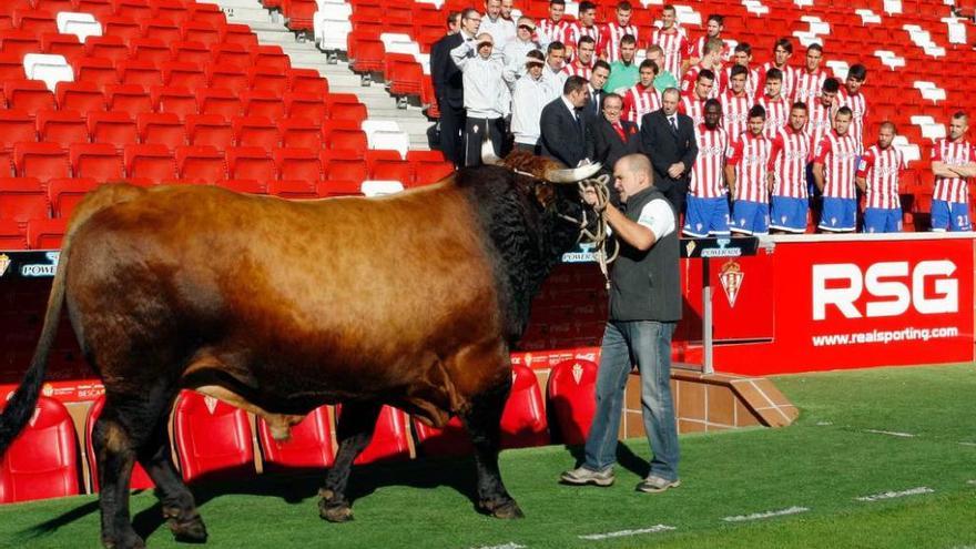 El Sporting abre mercados