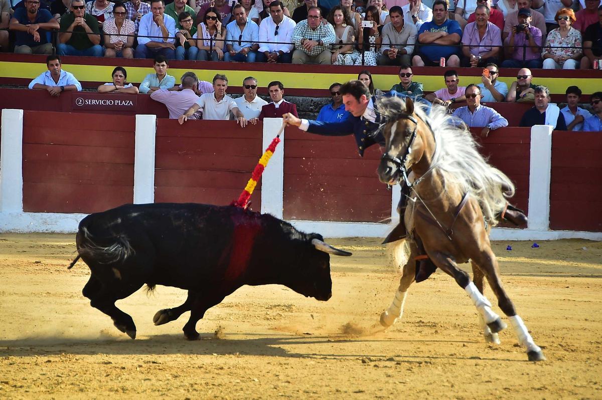 Fotogalería | Las imágenes de la corrida de rejones de la feria de Plasencia Fotogalería | Las imágenes de la corrida de rejones de la feria de Plasencia