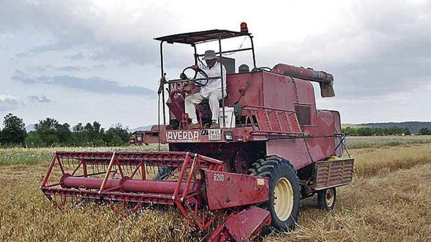Una máquina cosechadora en plena actividad en un cultivo de cereales en Maria de la Salut.
