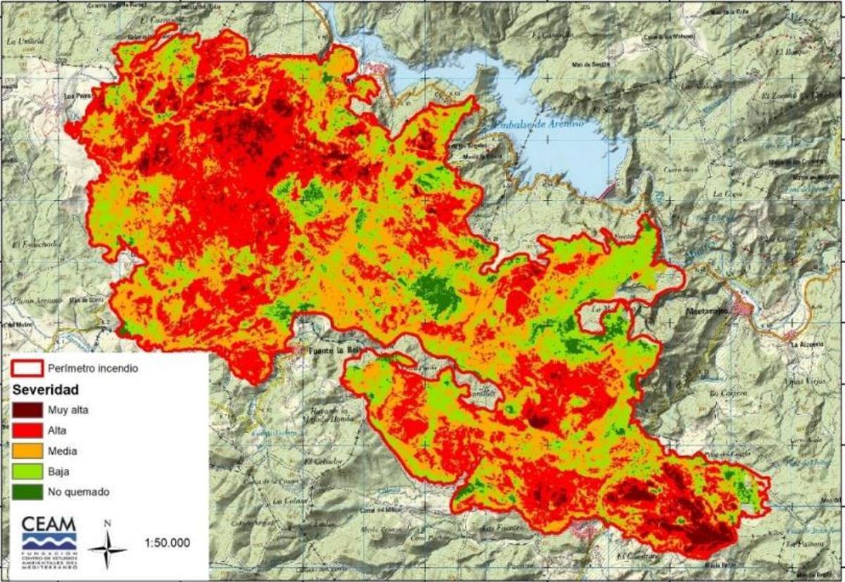 Grado de severidad de las zonas afectadas por el incendio