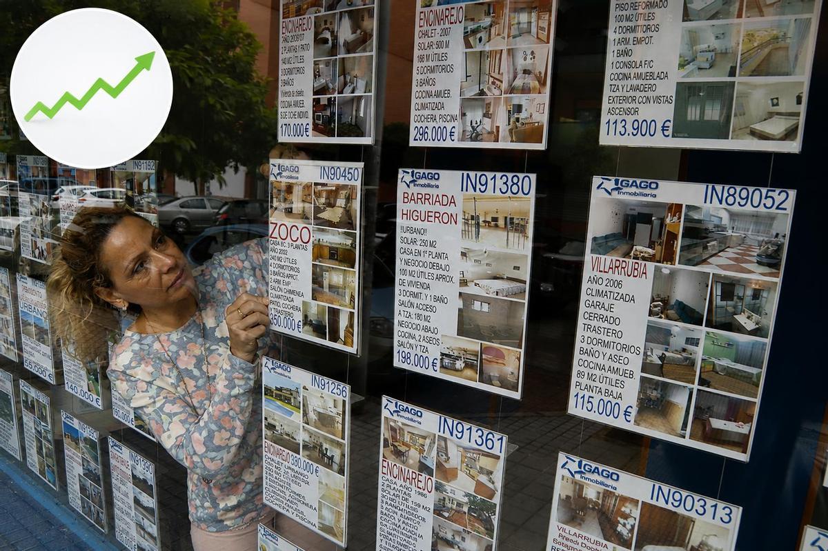 Una trabajadora coloca unos anuncios en una inmobiliaria cordobesa. En la imagen pequeña, flecha ascendente que ilustra la subida constante del precio de la vivienda usada en Córdoba.