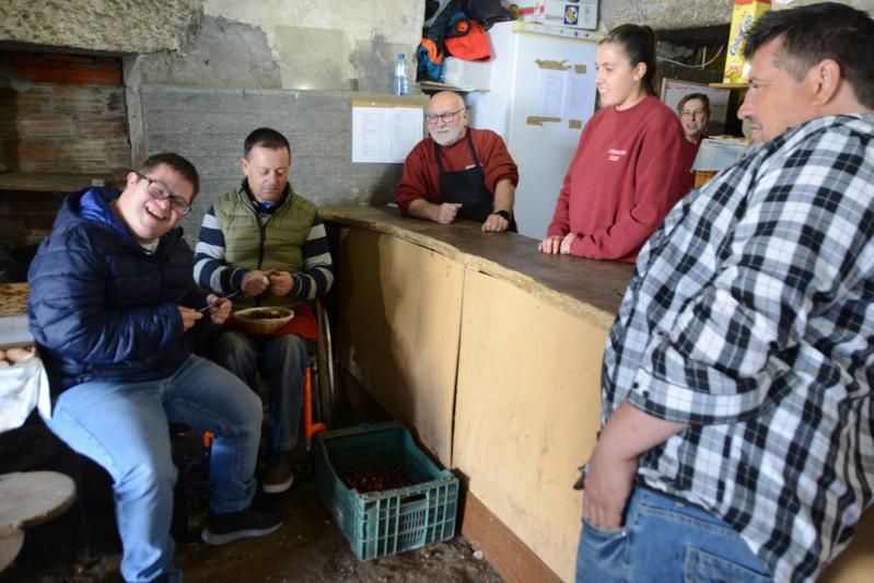 Preparando castañas para asar en uno de los bajos del núcleo histórico moañés.   | GONZALO NÚÑEZ 