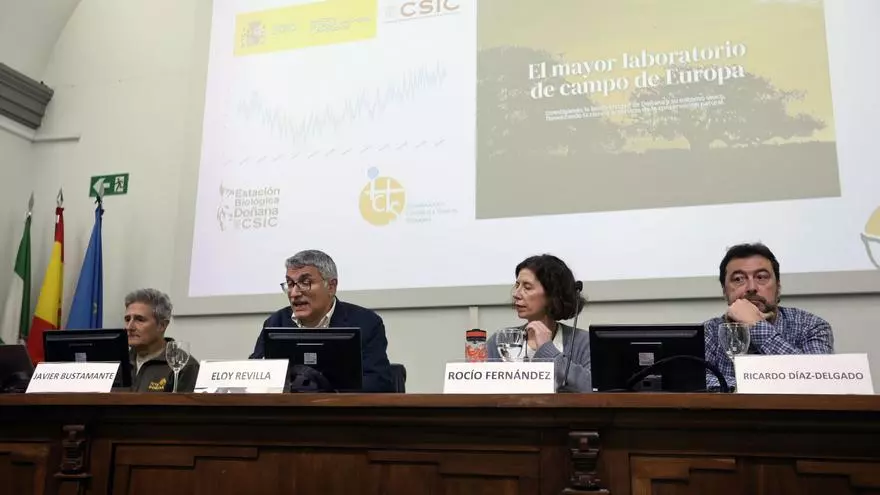 Eloy Revilla,  director de la Estación Biológica de Doñana, comenta sobre las últimas lluvias en la zona