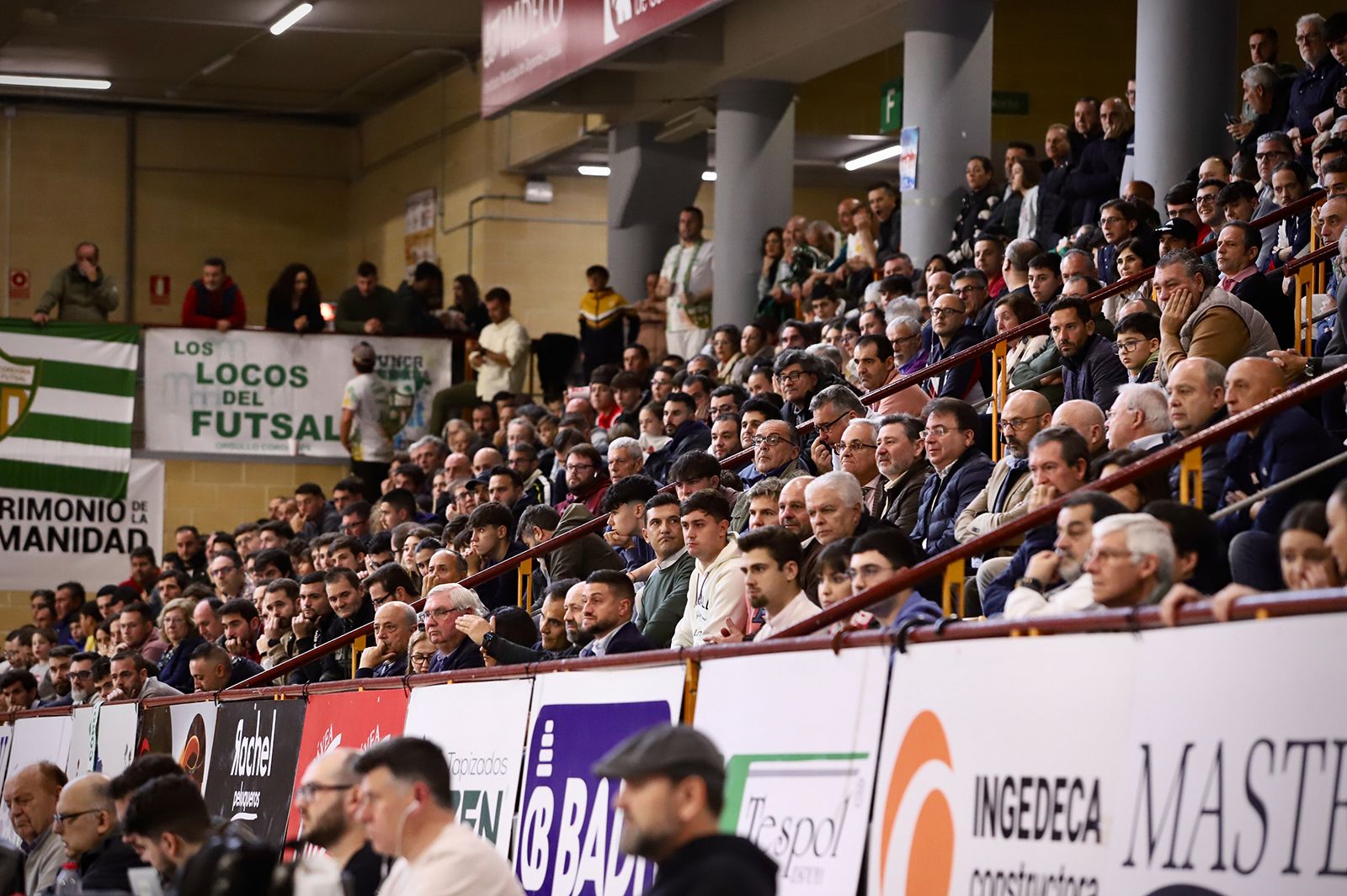 Córdoba Futsal-Real Betis: las imágenes del partido en Vista Alegre