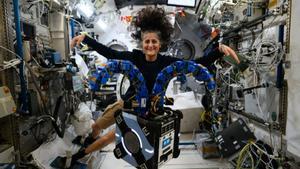 Los astronautas Wilmore y Williams regresan a la Tierra tras nueve meses en la Estación Espacial Internacional. En la foto, Suni Williams muestra uno de los experimentos científicos en los que ha estado trabajando en la Estación Espacial Internacional.
