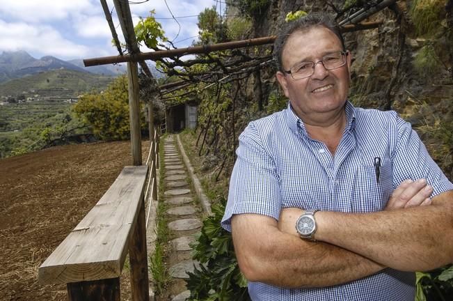 REPORTAJE BODEGA LA MONTAÑA