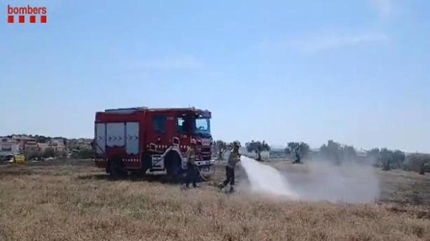 Cremen unes dues hectàrees en un incendi de vegetació a Vilafant