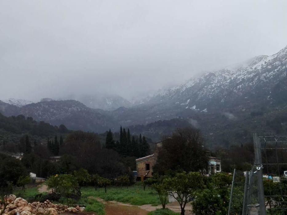 Eine neue Kaltfront hat Mallorca in der Nacht auf Mittwoch (8.2.) Schnee und Hagel beschert. Die Gegend um Son Servera im Inselosten war am frühen Morgen mit einer weißen Eisschicht bedeckt.