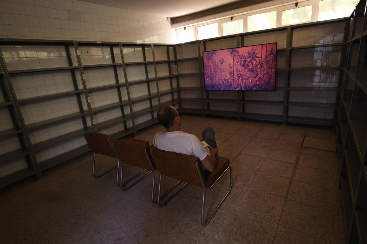 EN IMÁGENES: la primera Bienal Climática en Avilés