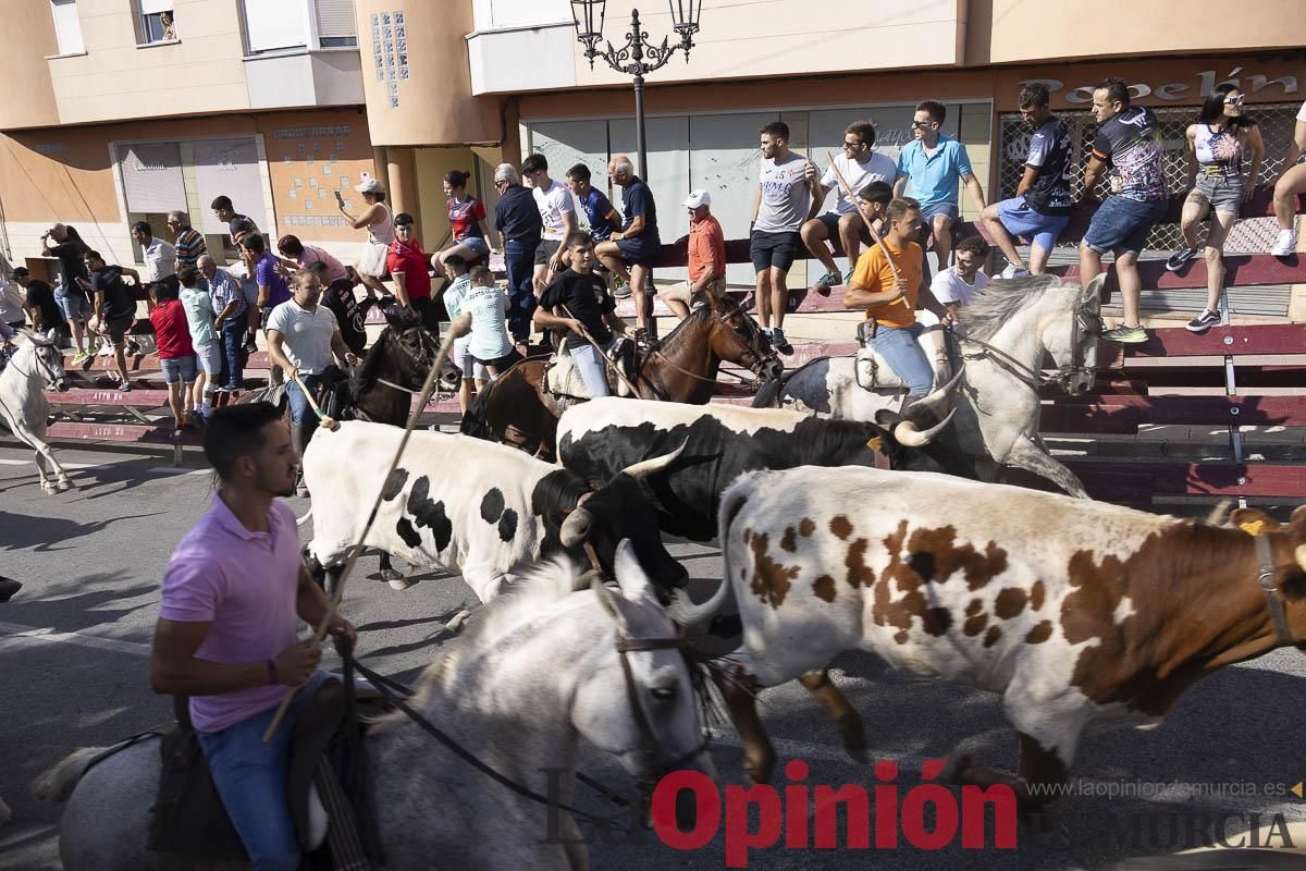 Séptimo encierro de las Fiestas de Moratalla