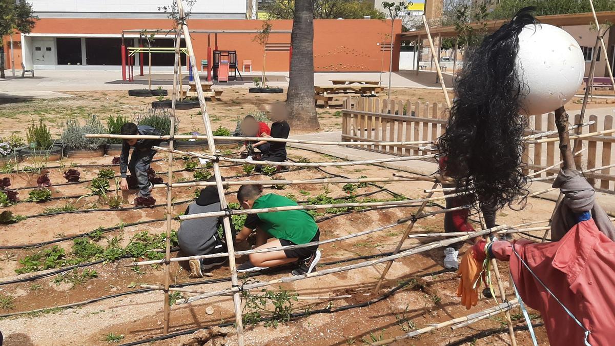 El huerto escolar y ecológico es uno de los pilares que fundamenta el proyecto colaborativo.