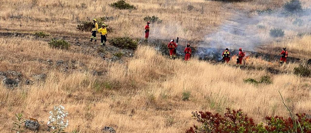 Agentes de Medio Ambiente del Cabildo y militares de la UME realizan quemas controladas en San José del Álamo