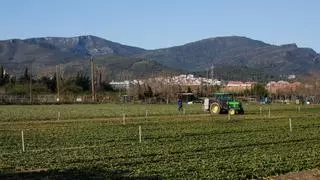 Unió de Pagesos rechaza la propuesta del Govern para ampliar El Prat y reclama un plan sectorial agrario para el Baix Llobregat