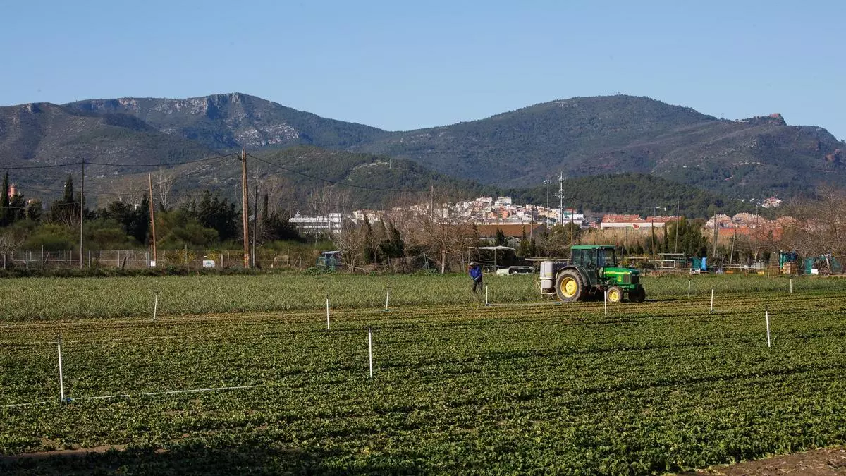 Unió de Pagesos rechaza la propuesta del Govern para ampliar El Prat y reclama un plan sectorial agrario para el Baix Llobregat