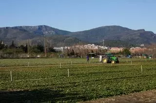 De Sant Cugat a Gavà: las ciudades donde más fincas rústicas deberán pagar el Tributo Metropolitano este 2024